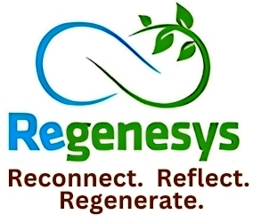 Reconnect, Reflect, Regenerate - 1